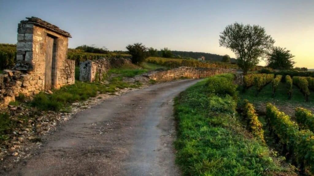 Route des Grands Crus